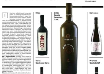 Il Savuto approda sul prestigioso giornale “Il Resto del Carlino”/ L’azienda Colacino “sbanca” a tiratura nazionale