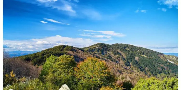 Archeologia del paesaggio calabrese: individuate nuove rocce incise sul Reventino