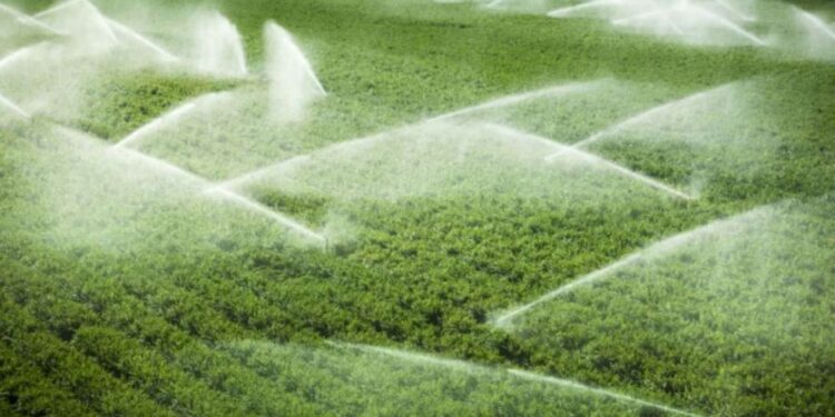 Il Consorzio Ionio Catanzarese apre in anticipo gli impianti di irrigazione