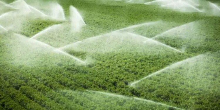 Il Consorzio Ionio Catanzarese apre in anticipo gli impianti di irrigazione