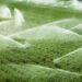 Il Consorzio Ionio Catanzarese apre in anticipo gli impianti di irrigazione