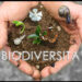 Agricoltura, 72 milioni per la tutela della biodiversità. Gallo: «Possibili altre risorse aggiuntive»