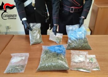 Detenzione marijuana i Carabinieri a Belsito individuano detentore e spacciatore