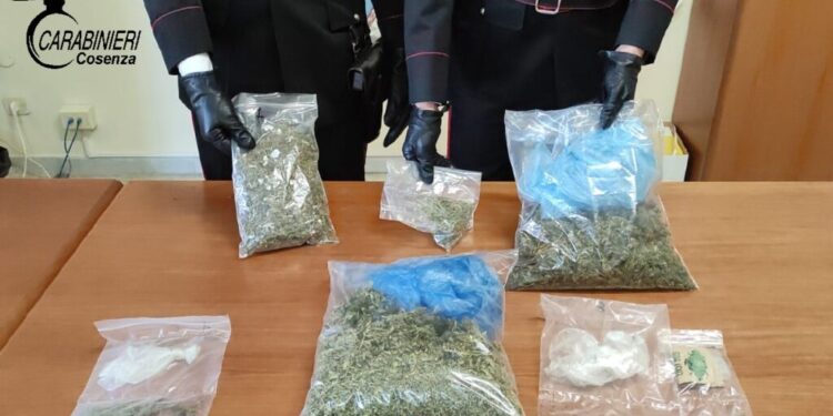 Detenzione marijuana i Carabinieri a Belsito individuano detentore e spacciatore
