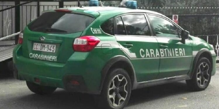 “Un albero per il futuro”, progetto promosso dall’Arma dei carabinieri arriva anche a Tiriolo