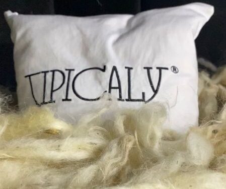 Imballaggi green ed ecosostenibili, la pratica virtuosa di Tipicaly. Magarò: «Per perseguire principi rispettosi della natura, lavoriamo per la prima volta con la lana non utile alla filatura che viene usata come materiale di spedizione