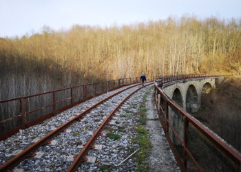 Arrivano risorse finanziarie per Ferrovie della Calabria: nuova stazione a Catanzaro