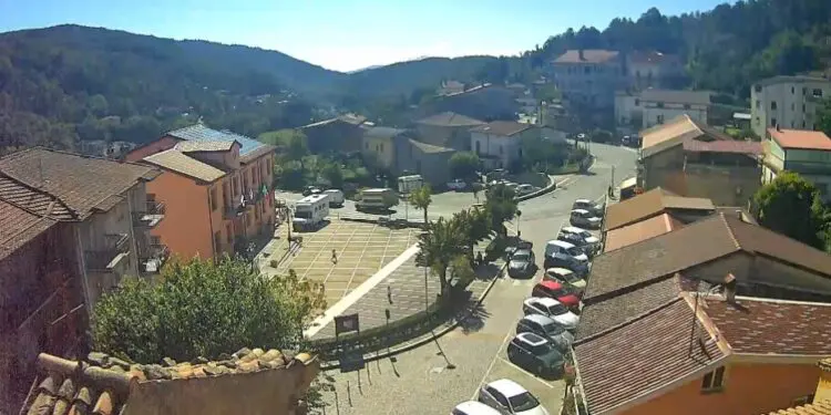 Bianchi, ordine di taglio delle piante ai conduttori di terreni confinanti con strade comunali