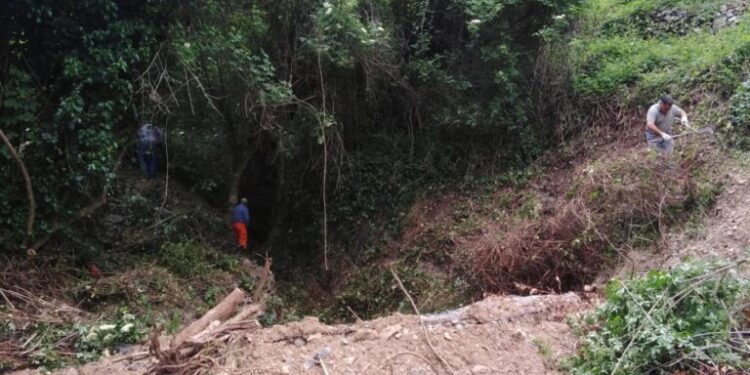 Magisano, messa in sicurezza del territorio con diversi interventi di Calabria Verde