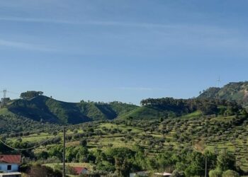 Marcellinara, il sindaco Scerbo: “La Regione Calabria blocchi l’iter del nuovo Parco eolico”