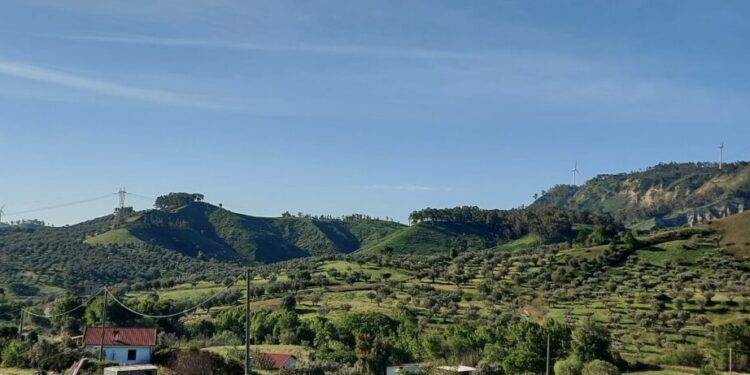 Marcellinara, il sindaco Scerbo: “La Regione Calabria blocchi l’iter del nuovo Parco eolico”