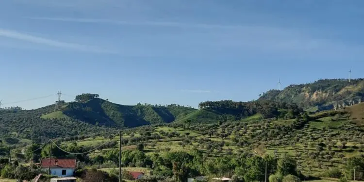 Rafforzamento capacità amministrativa piccoli comuni: via al PON Governance a Marcellinara
