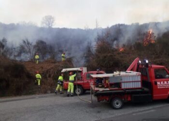 Nucleo Emergenze Reventino-Savuto tiene campo addestramento e apre reclutamento