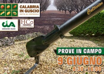 Giornata divulgativa sulla coltivazione del nocciolo con la rete d’impresa “Calabria in Guscio”