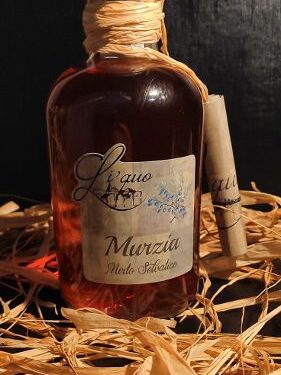 Eccellenze calabresi a Tokyo, imprese alla riscossa