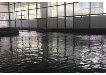 S. Giovanni in Fiore (Cs), Sorical: “A San Giovanni in Fiore non c’è emergenza idrica”