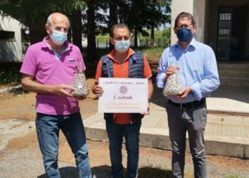 Collaborazione tra Coldiretti-Campagna Amica Calabria e Arsac per il recupero di antiche varietà di fagioli