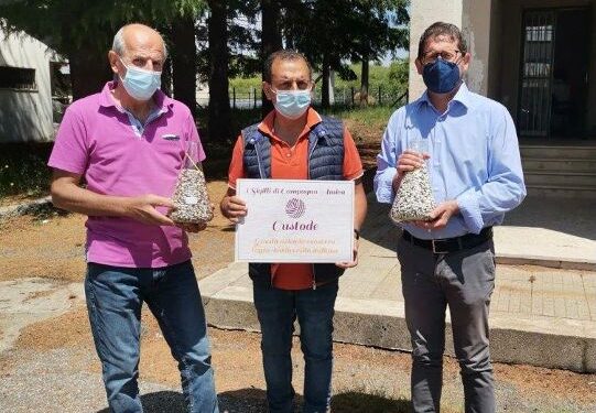 Collaborazione tra Coldiretti-Campagna Amica Calabria e Arsac per il recupero di antiche varietà di fagioli