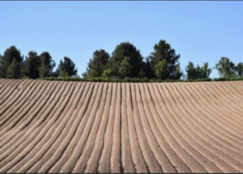 “Il mio viaggio in Sila” del gastronomo con il baffo Piero Cantore