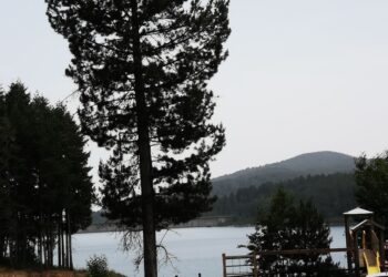 Consorzio Bonifica Ionio Catanzarese: la società a2a non rispetta la convenzione e calpesta i diritti degli agricoltori e li asseta