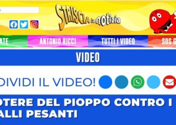 Arrivano da Soveria Mannelli i pioppi per bonificare la ‘Terra dei fuochi’ in Campania