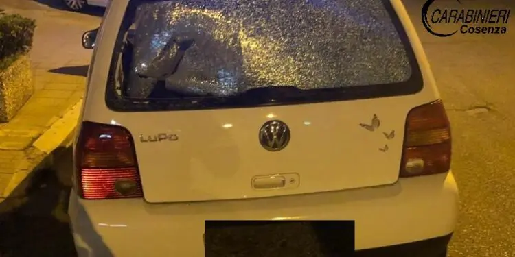 Valle del Savuto, operazione “Crazy night” i carabinieri smantellano branco di aggressori