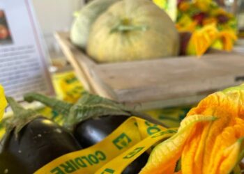 Il Mercato di Campagna Amica sbarca a Villaggio Mancuso in montagna dai turisti