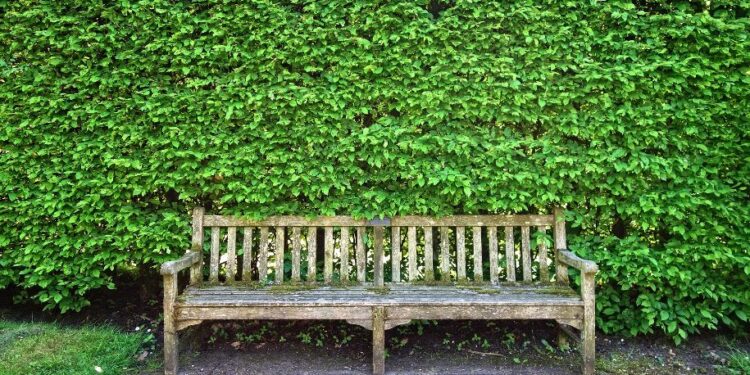 Calabria, uno studio sul rapporto tra persona e ambiente al tempo della pandemia