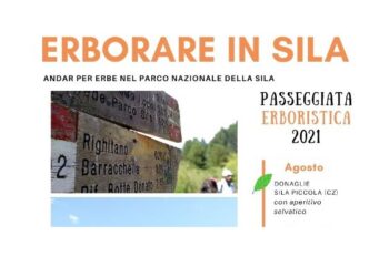 Erborare Sila 2021, passeggiata alla scoperta delle meraviglie naturali