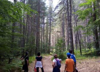 Abruzzesi e laziali approdano a Camigliatello Silano. Trend positivo per la nota località turistica calabrese/ Turisti francesi a spasso nel borgo