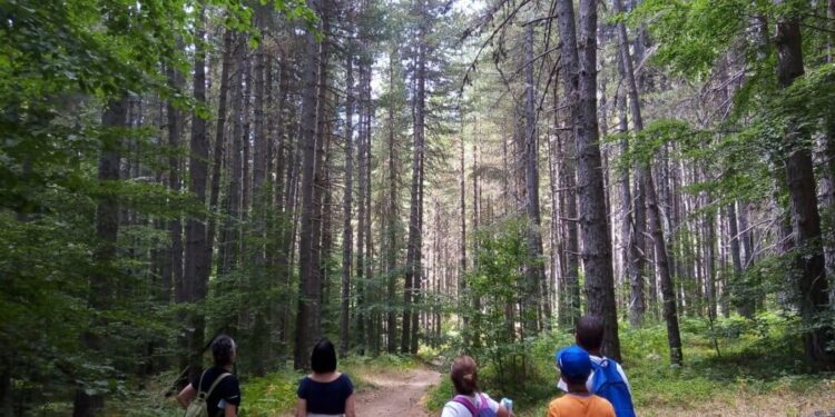 Abruzzesi e laziali approdano a Camigliatello Silano. Trend positivo per la nota località turistica calabrese/ Turisti francesi a spasso nel borgo