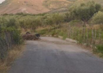 Petronà, strada dissestata, i cittadini della frazione Arietta scrivono al Prefetto di Catanzaro