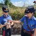 Fiammetta, un piccola gattina, salvata dai Carabinieri/ Un gesto straordinario da parte dell’Arma e di una famiglia di Marzi