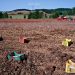 Un racconto dalla Sila: Scorgo da lontano