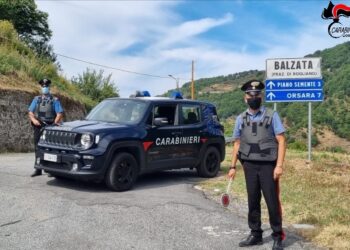 Detiene sostanza stupefacente in cantina, denunciato dai Carabinieri di Rogliano