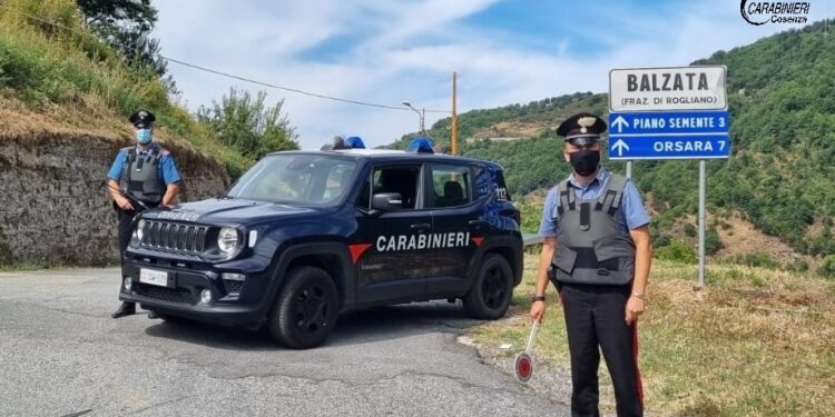Detiene sostanza stupefacente in cantina, denunciato dai Carabinieri di Rogliano