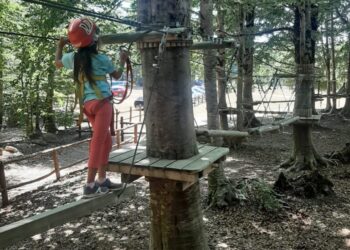 Zagarise, arriva internet in Sila