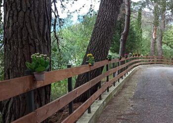 Sellia, aspettando il giorno dei defunti