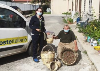 Poste Italiane in Calabria assunti 86 lavoratori, 40 nelle province di Catanzaro e Vibo Valentia