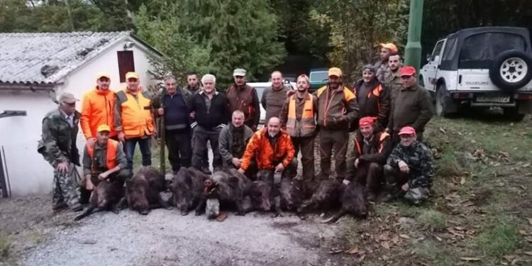 Giornata di caccia al cinghiale da ricordare, sul Reventino