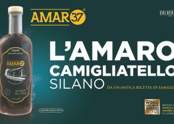 Amaro 37, un’eccellenza che porta in “alto” Camigliatello Silano/ Nuovi traguardi per l’azienda calabrese