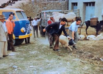 Decollatura, mostra fotografica dedicata alla Fiera di San Martino: un tuffo nel passato