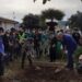 Lamezia, celebrata Festa dell’Albero al “Costanzo” di Savutano