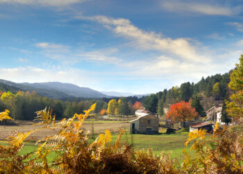 La foto di Antonio Renda: Sila magica e solitaria