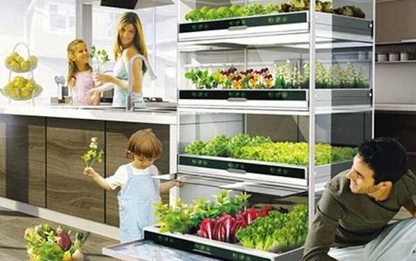 A San Giovanni in Fiore, agricoltura 4.0 con coltivazioni indoor, fuori terra e torri