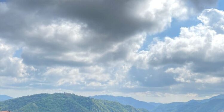 Taverna, albero dei ricordi