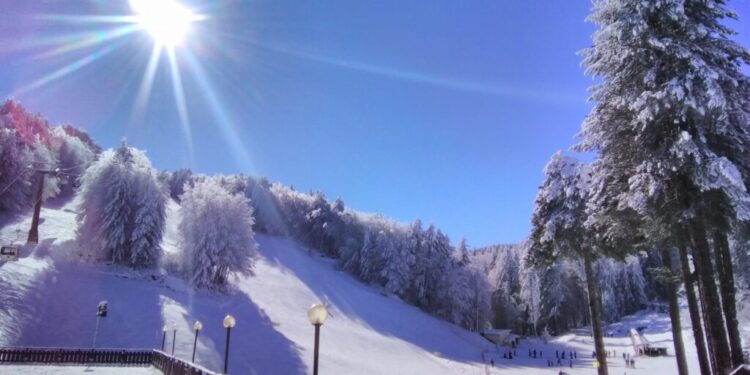 Petizione a difesa degli operatori turistici della Sila e di Camigliatello per il caro bollette