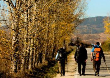 NFL, l’Halftime Show del 2022 avrà un cast stellare: 3 prodotti da vedere per arrivare pronti all’evento