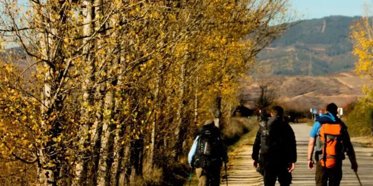 Cammino de Santiago: dalla scelta del percorso all’equipaggiamento
