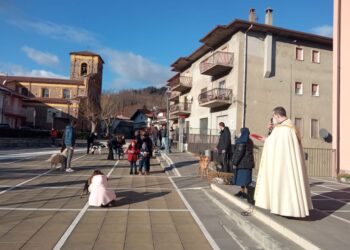 Bianchi, una benedizione speciale per tutti gli animali